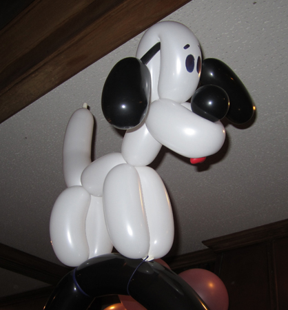 dogg