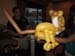 lion2